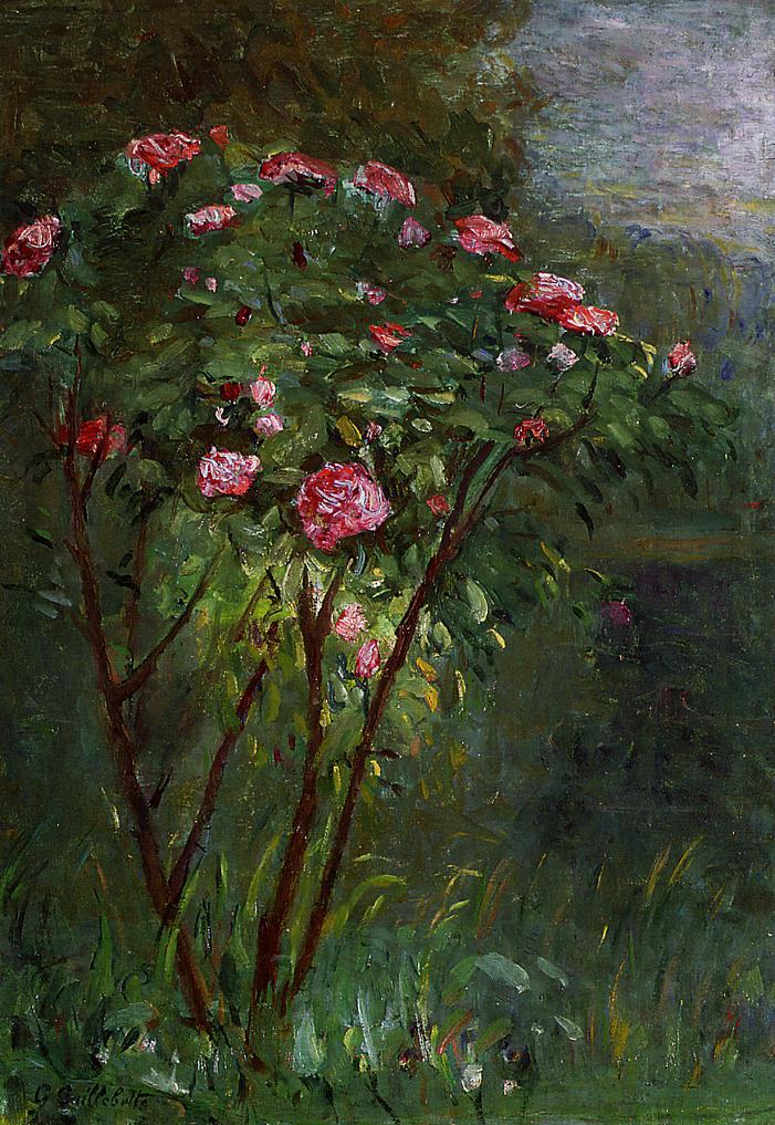 Gustave Caillebotte Rose Bush in Flower